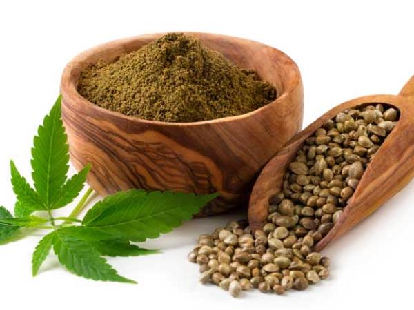 Konopljini proteini za zdravje